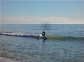 Surfing inside the bay