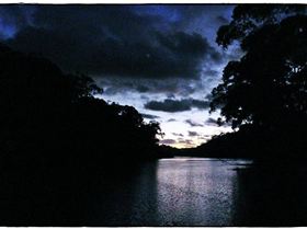 Audley Dawn Session 005