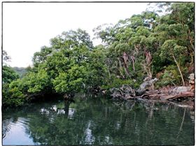 Audley Dawn Session 018