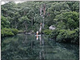 Audley Dawn Session 019