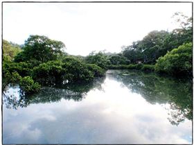 Audley Dawn Session 029