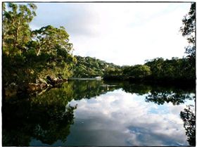 Audley Dawn Session 033