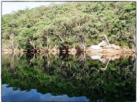 Audley Dawn Session 037