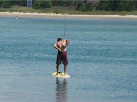 25120 392836616317 730246317 4701157 4672167 n