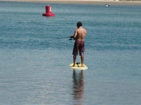 25120 392836601317 730246317 4701155 6718578 n