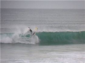 P1000058(1) 1024x768