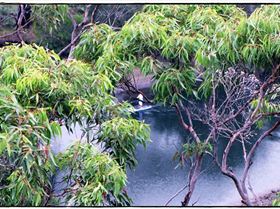 Sunrise & River Overview 014