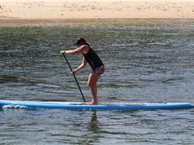 DC 17' (March 2010 Model)