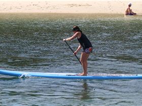 DC 17' (March 2010 Model)