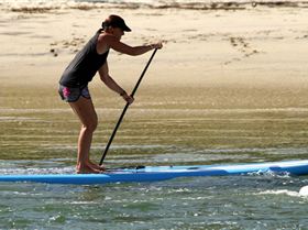 DC 17' (March 2010 Model)