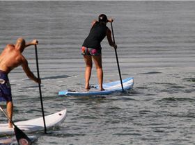 DC 17' (March 2010 Model)