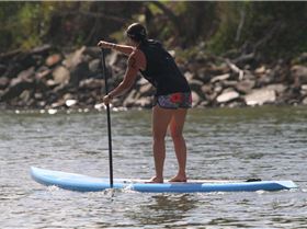 DC 17' (March 2010 Model)