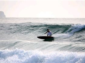 Palmy 3rd April 2010