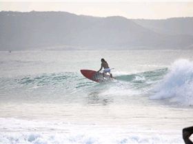 Palmy 3rd April 2010