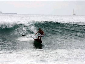 Palmy 3rd April 2010