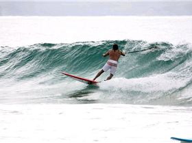 Palmy 3rd April 2010