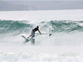 Palmy 3rd April 2010