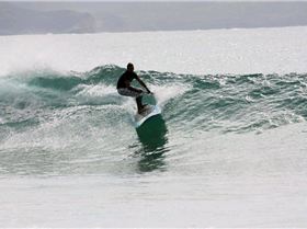 Palmy 3rd April 2010