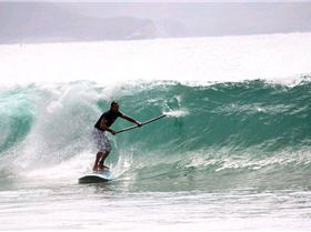 Palmy 3rd April 2010