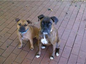 the girls by suz (Small)