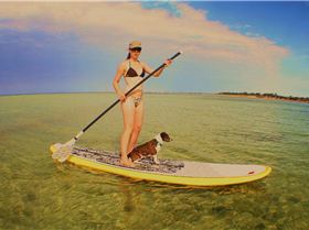 Stand Up Paddle