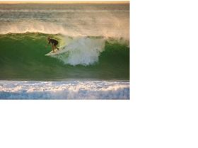 saltmotion curly one