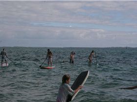 Stand Up Paddle