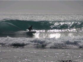 26277 111937912153287 100000112369641 264273 6646236 n