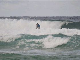 Trevor Hendys Salt Festival