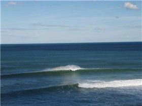 PT ADDIS 008 (Small)