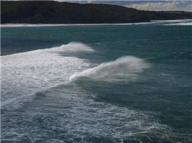 PT ADDIS 007 (Small)