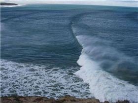 PT ADDIS 009 (Small)