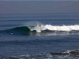 25495 439639900760 159484370760 5784482 8158001 n