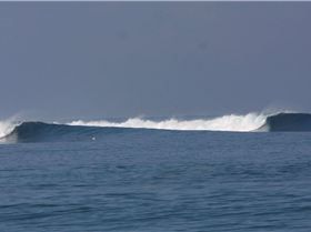 Sumbawa 2009 157
