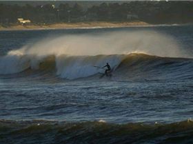 casso and dan paddle boarding