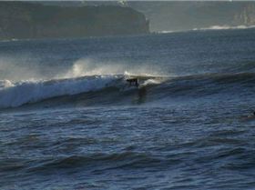 casso and dan paddle boarding