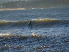 casso and dan paddle boarding