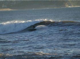 casso and dan paddle boarding