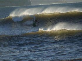 casso and dan paddle boarding