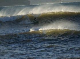 casso and dan paddle boarding