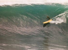 Chris Bertish at Dungeons