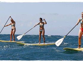 4141687987 92475186b5 o