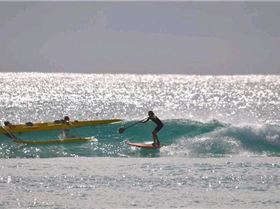 38227 1552291451707 1367773270 31454026 6275379 n