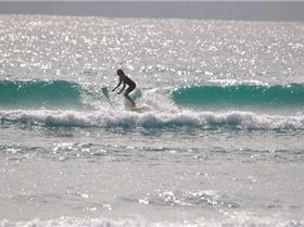 38227 1552291491708 1367773270 31454027 7774914 n