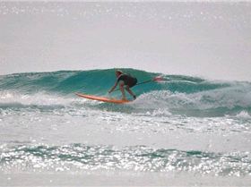 38410 1552292651737 1367773270 31454036 4685030 n