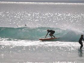 38410 1552292451732 1367773270 31454031 4647966 n