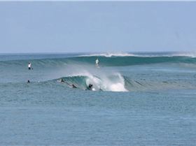 Mentawai 2-231