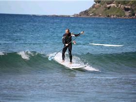 Fanatic boards, PAlmy