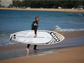 Fanatic boards, PAlmy