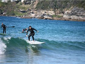 Fanatic boards, PAlmy